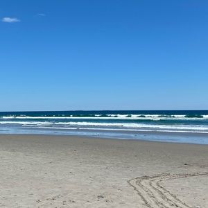 Meet your Posher, Noah